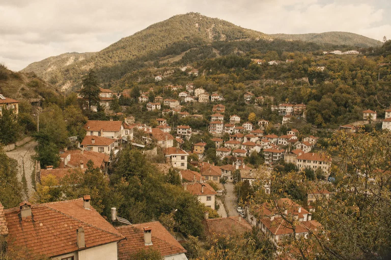 Yamaçtan görünen kiremit çatılı Taraklı evleri ve ormanlık tepeler